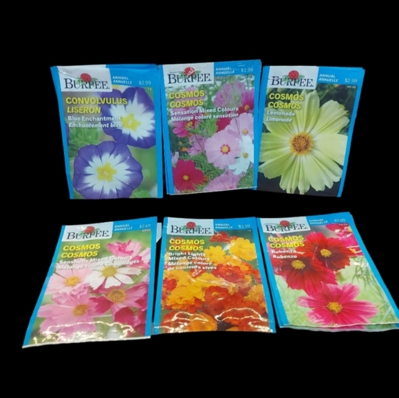 Flower Seeds Choose 10 for $20.00 - Picture 5 of 10